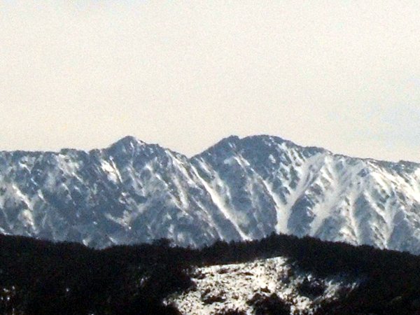 040305