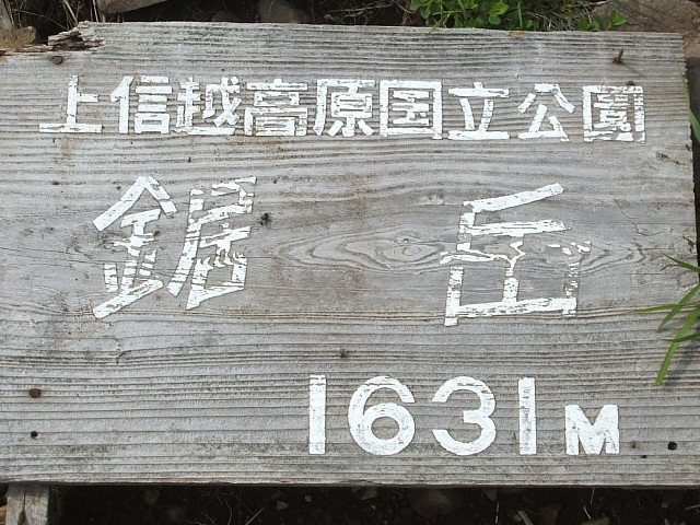 06203