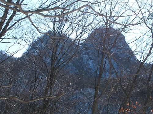 DSCF4401