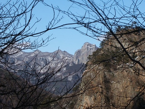 DSCF4405