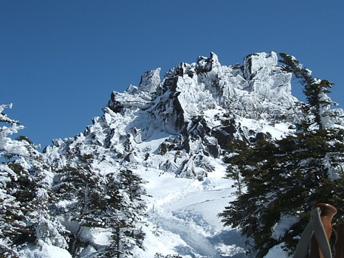DSCF4436