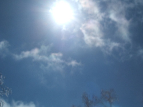 DSCF4457