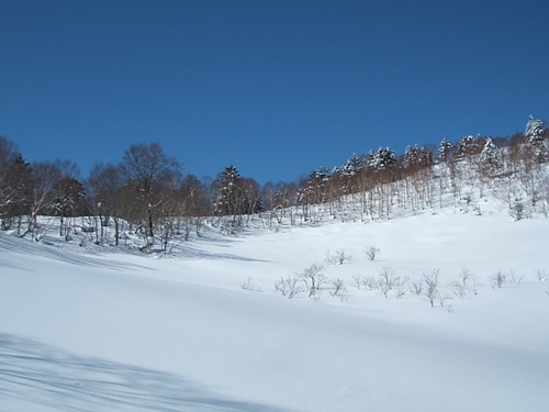 DSCF4468