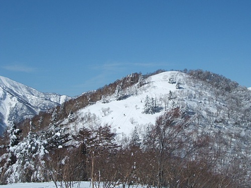 DSCF4469