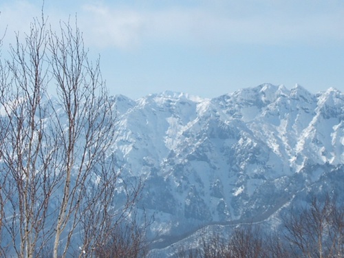 DSCF4475