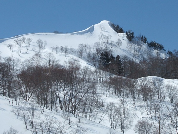 DSCF4526