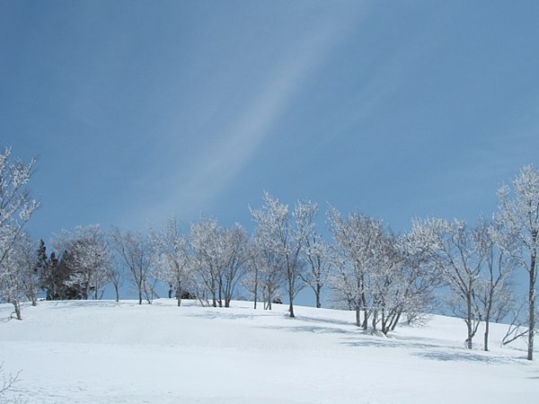 DSCF4575