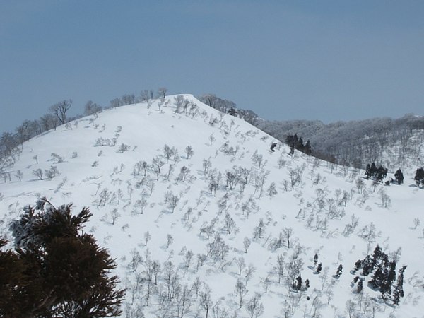 DSCF4577