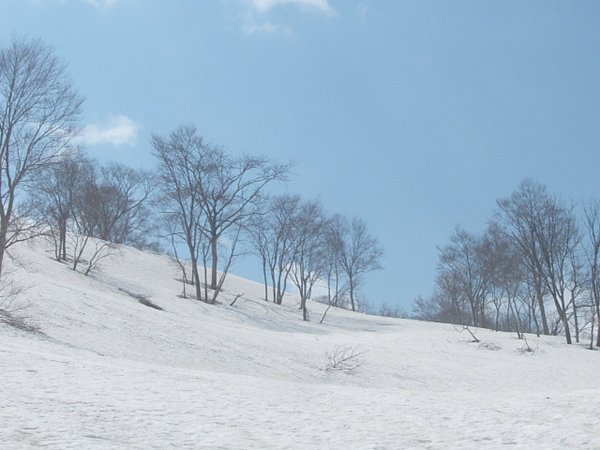 DSCF4681