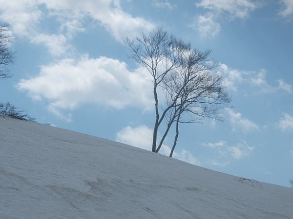 DSCF4685