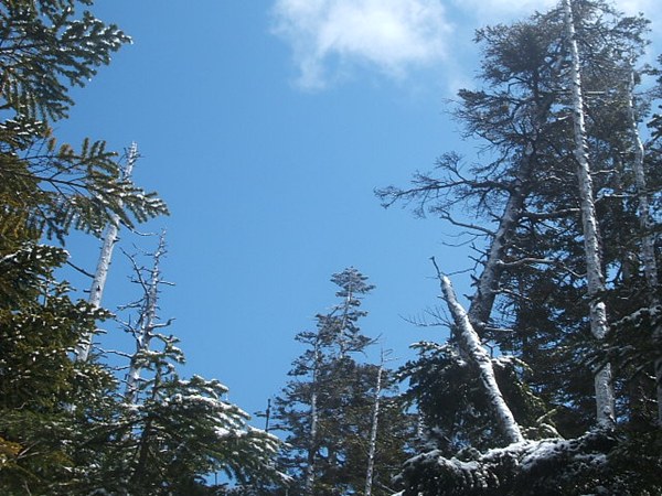 DSCF4712