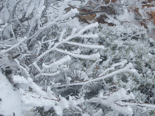 DSCF4716