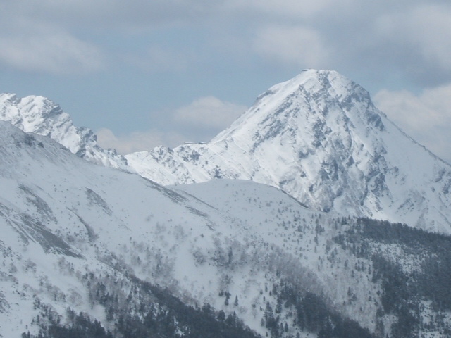 DSCF4729
