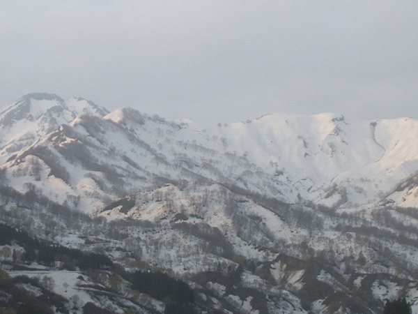 DSCF4781