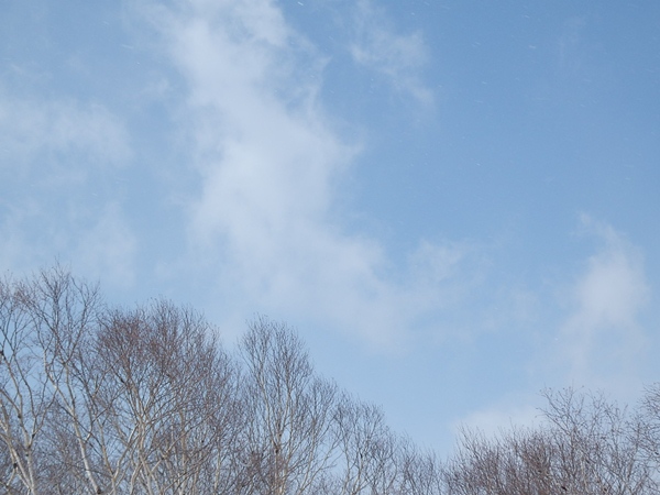 P4010068