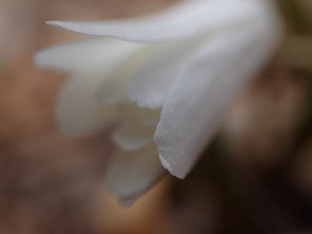P4030945