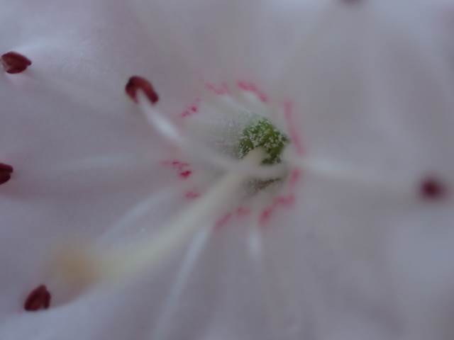 P5191293