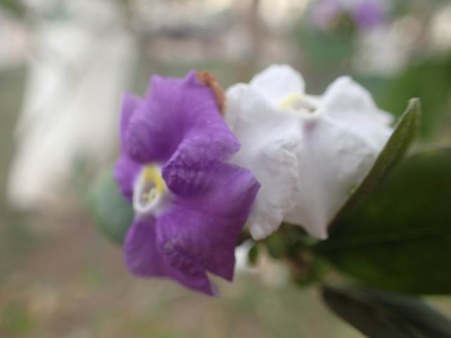 P9150103