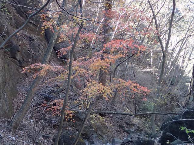 PC050071