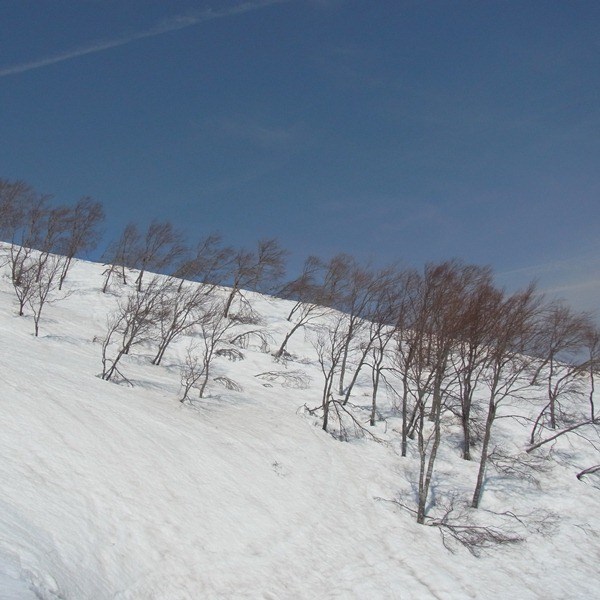 RIMG00282