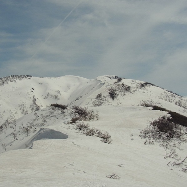 RIMG00382