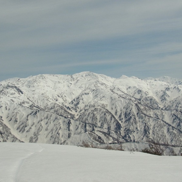 RIMG00412