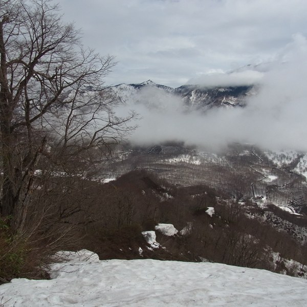 RIMG01472