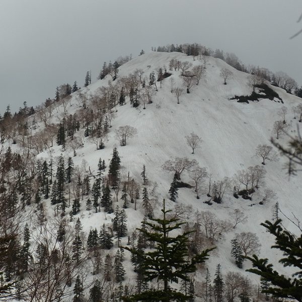 RIMG01582