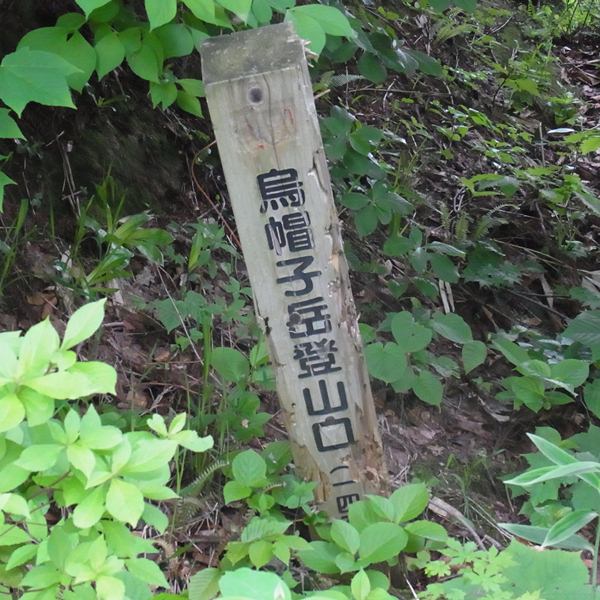 RIMG0166