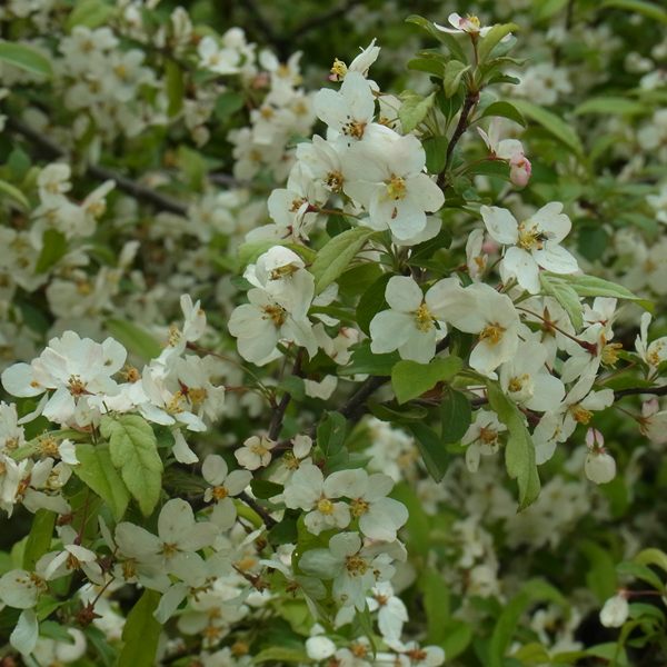 RIMG0232
