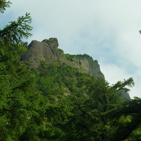 RIMG0238
