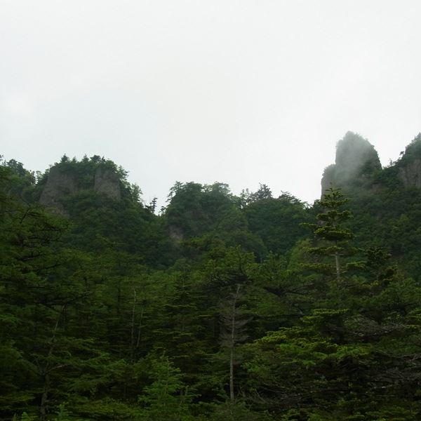 RIMG0244