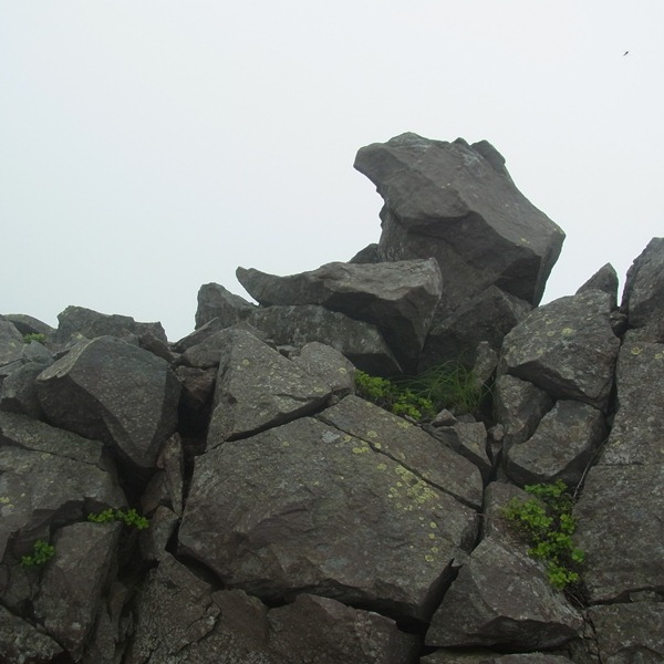 RIMG0253
