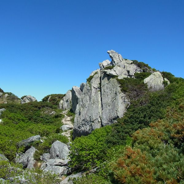 RIMG0558