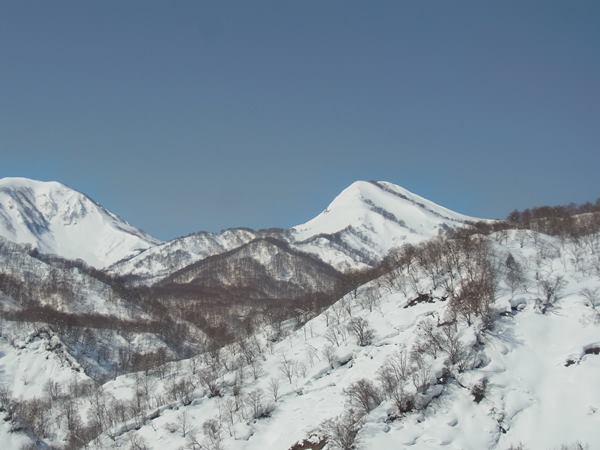 RIMG0591b