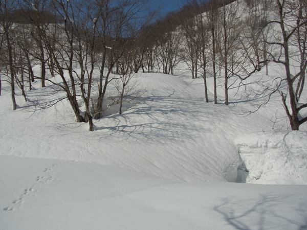 RIMG0596b
