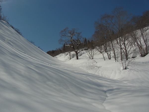 RIMG0599b