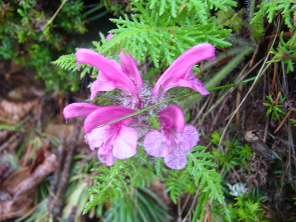 RIMG0628a