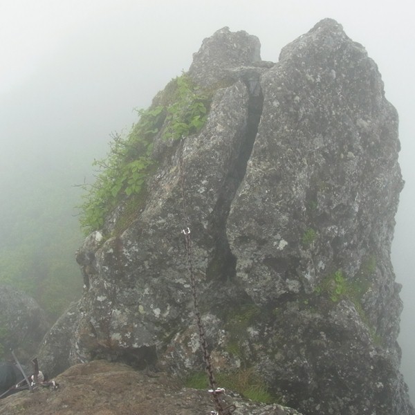 RIMG0637a