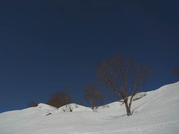 RIMG0714b