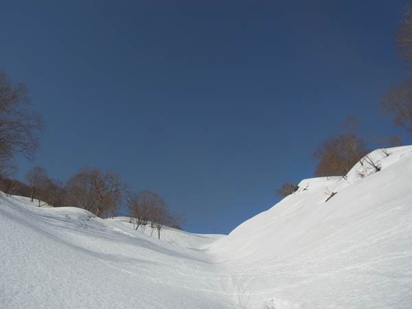 RIMG0715b