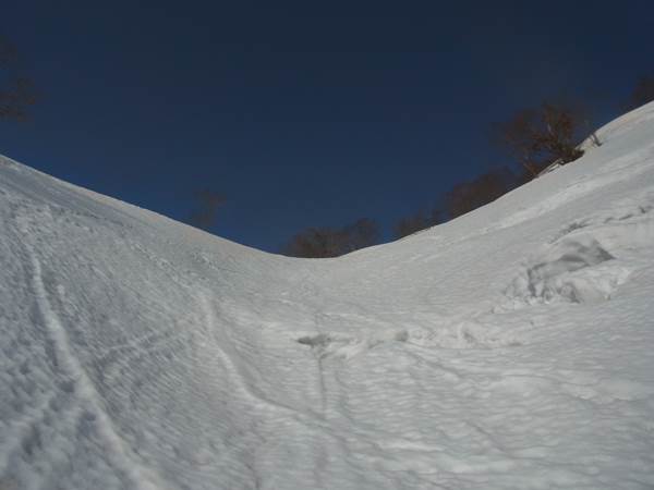 RIMG0716b
