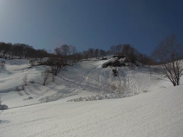 RIMG0717b