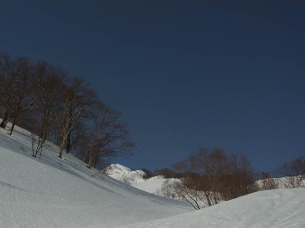 RIMG0718b