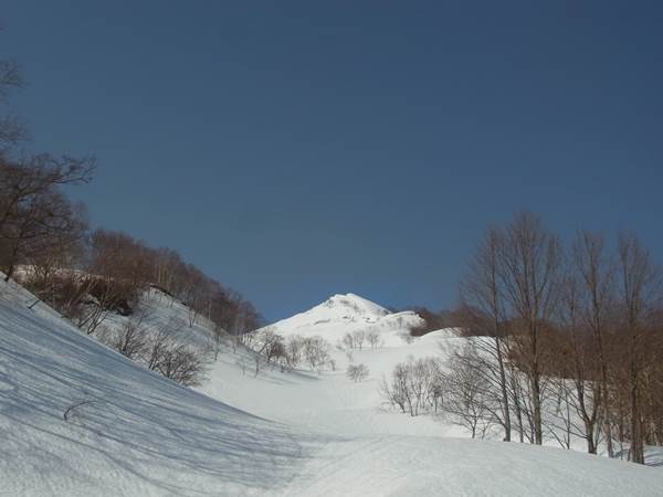RIMG0721b