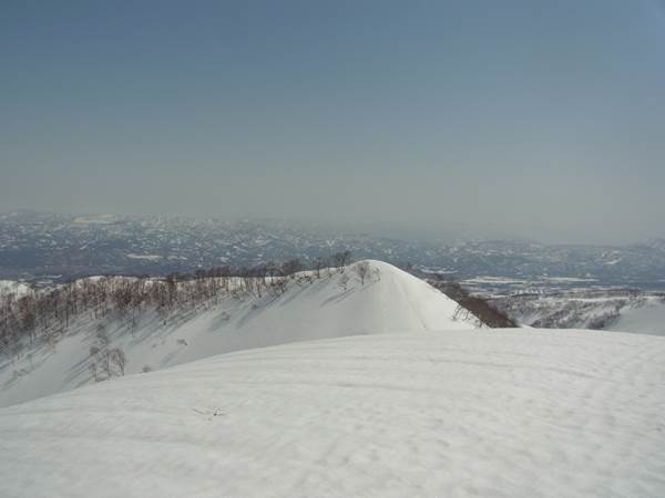 RIMG0735b