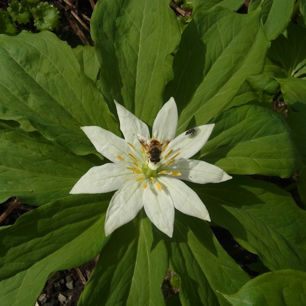 RIMG0759a