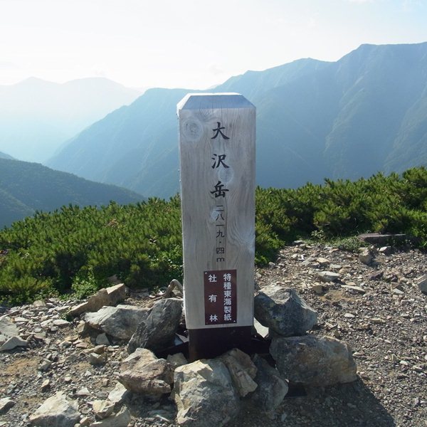 RIMG0801
