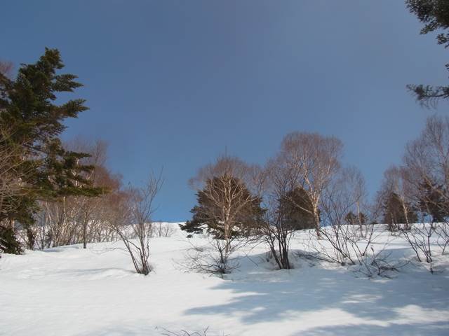 RIMG0811
