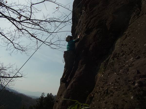 RIMG0837b